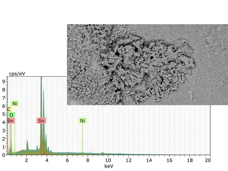 SEM-EDX analysis to determine the chemical composition