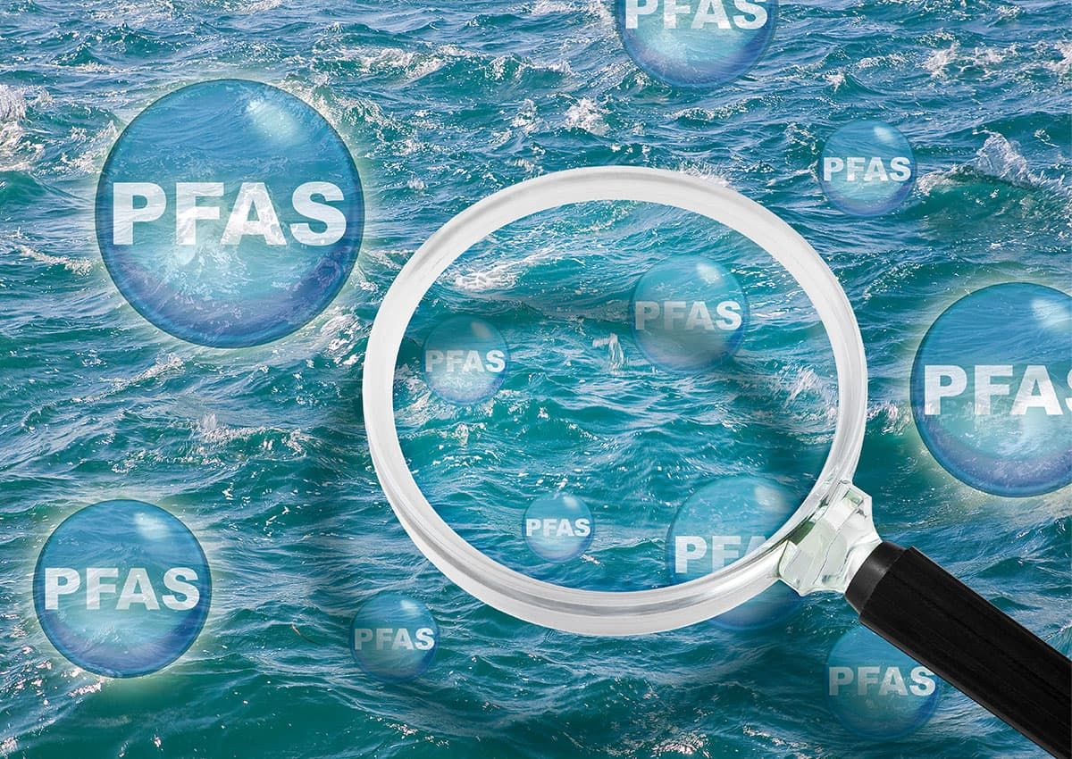 PFAS in Ökosystemen