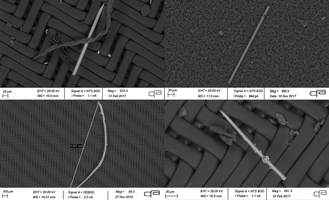 Technische Sauberkeit: Raster-Elektronen-Mikroskopie: Glasfasern